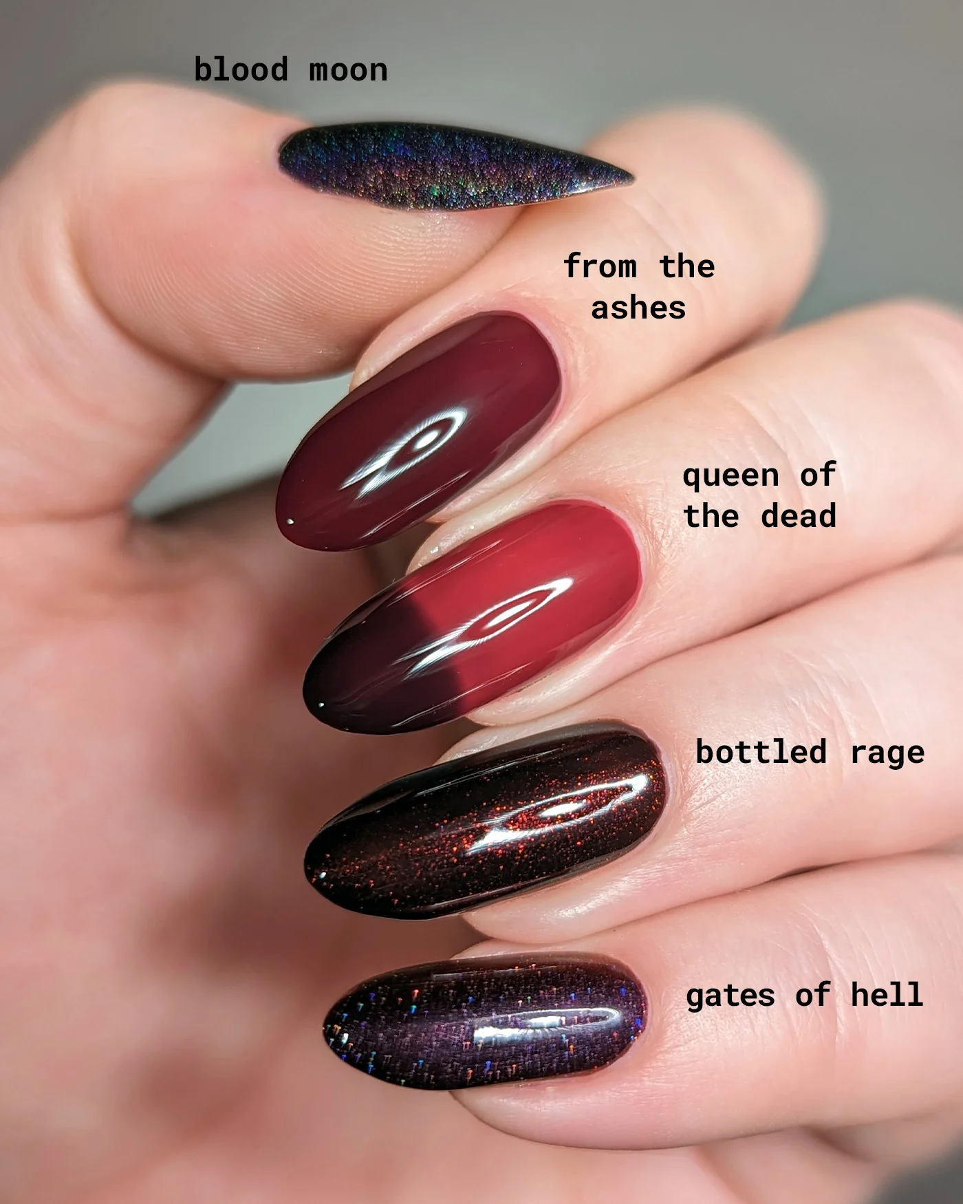 Queen of the Dead - Image 9