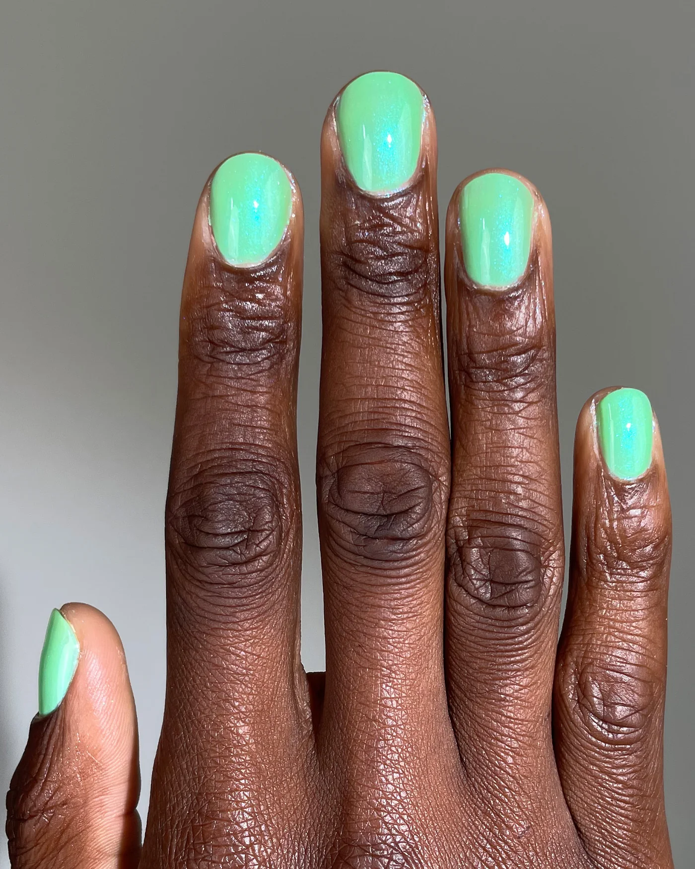 Ribbit Ribbit - Image 3