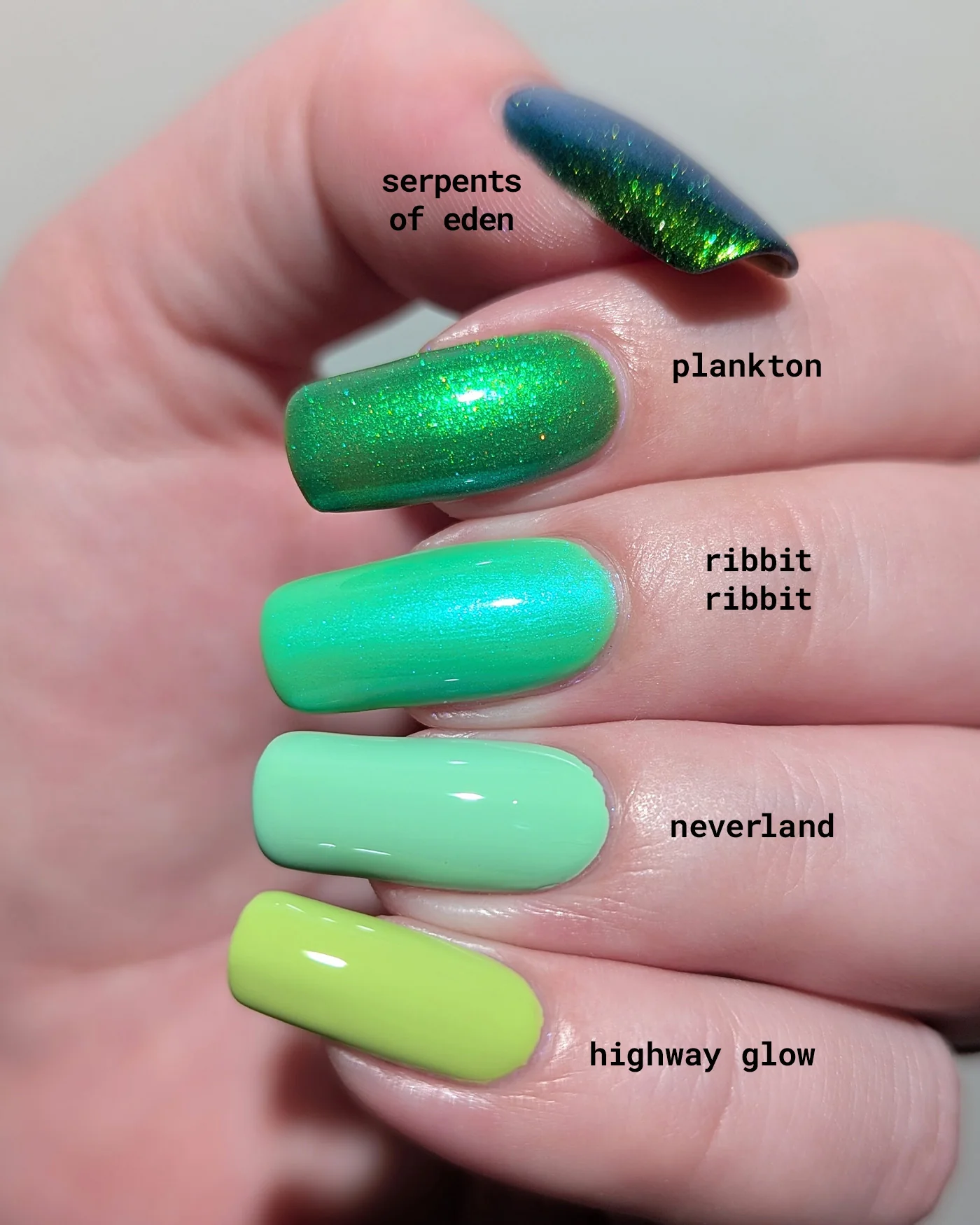 Ribbit Ribbit - Image 7