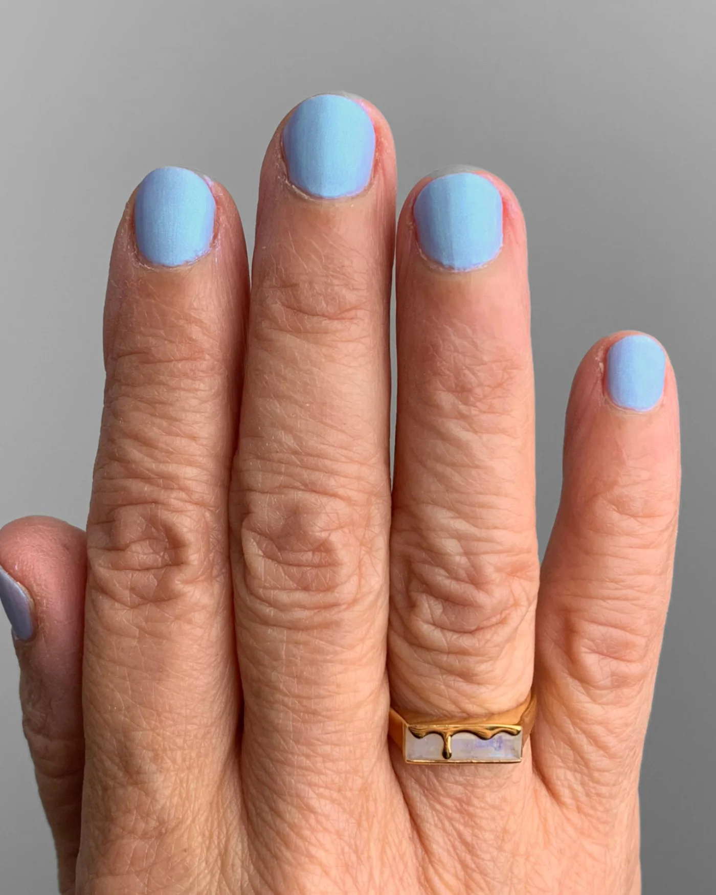 Sabertooth - Image 5