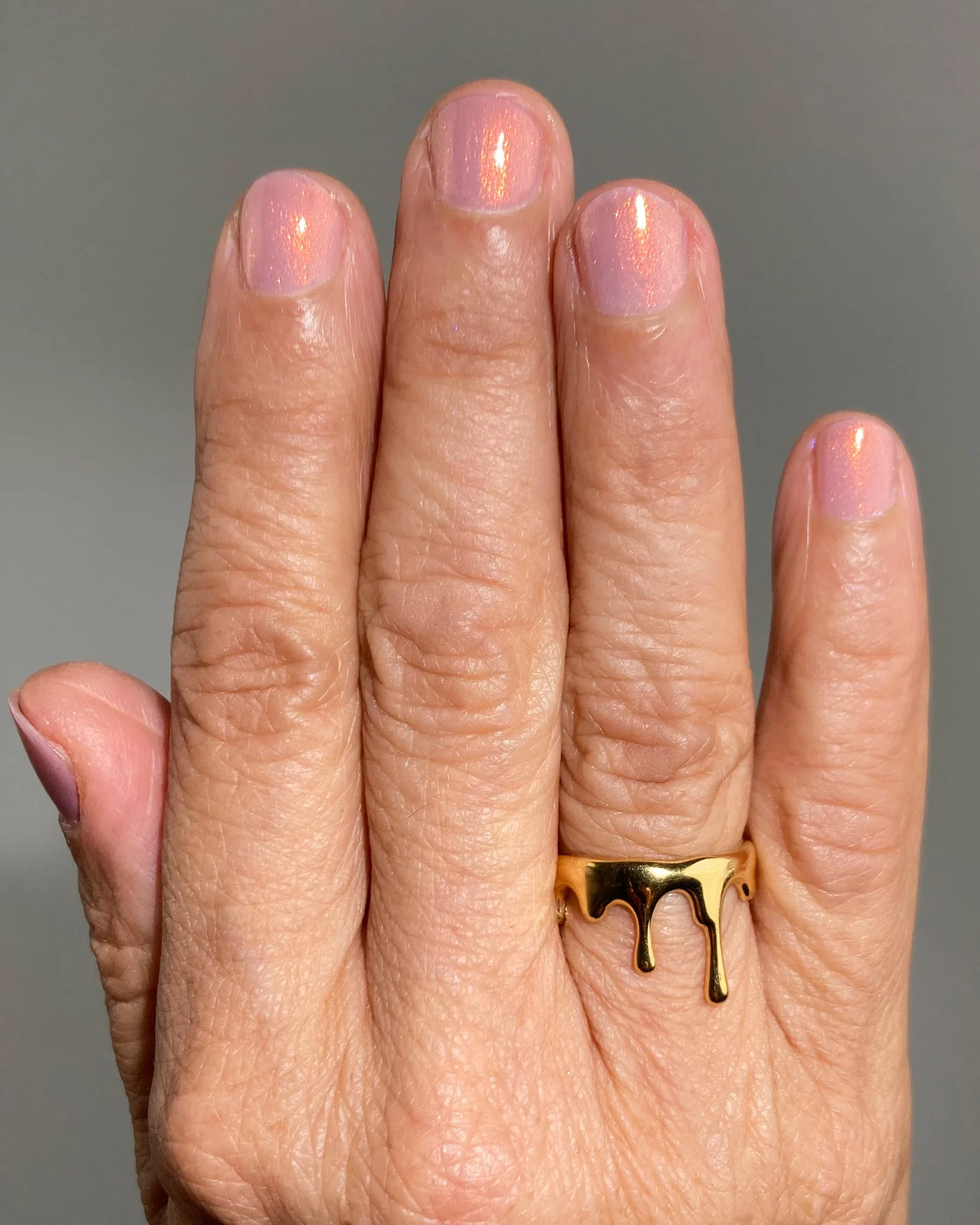 Sand Viper - Image 3