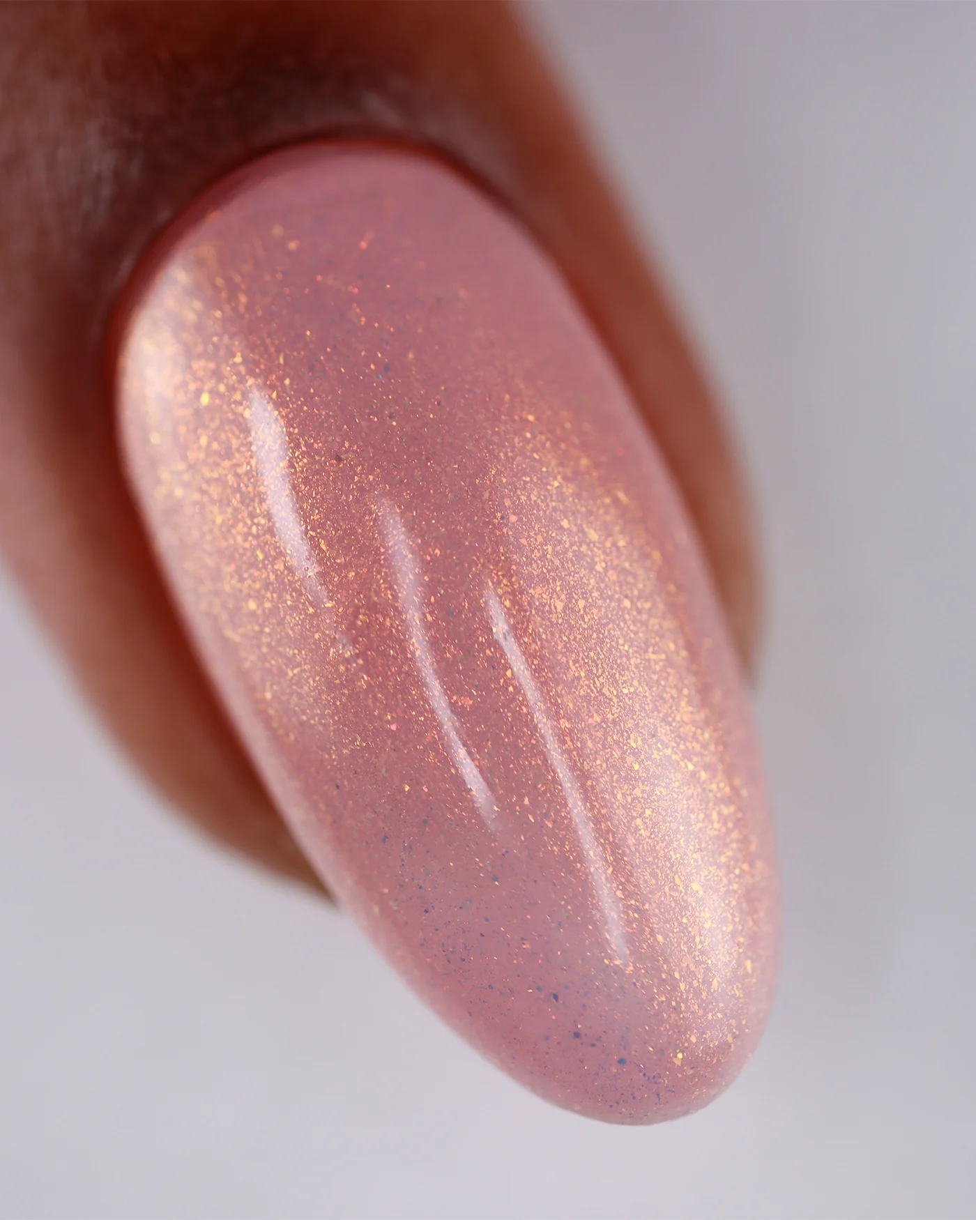 Sand Viper - Image 4