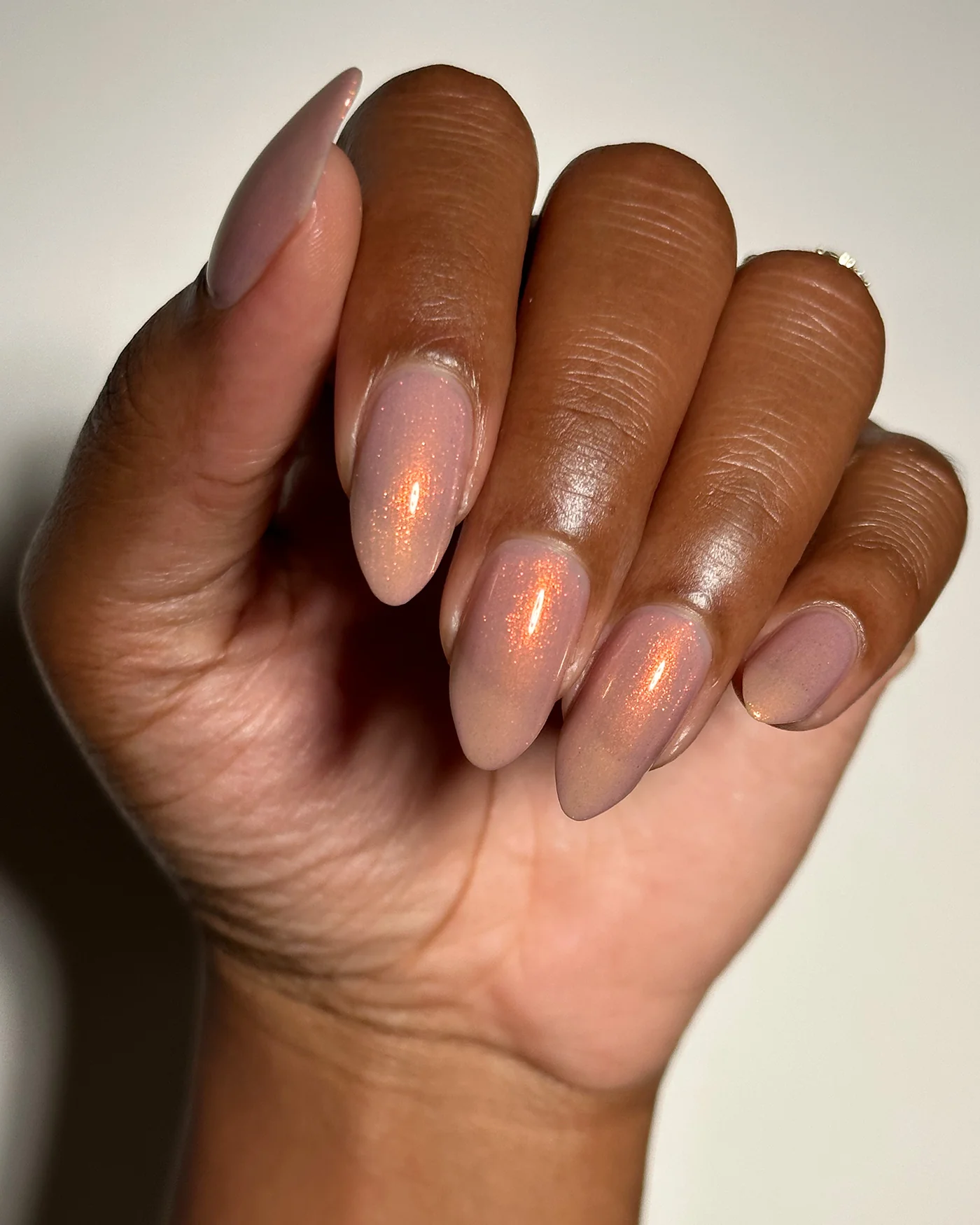 Sand Viper - Image 6