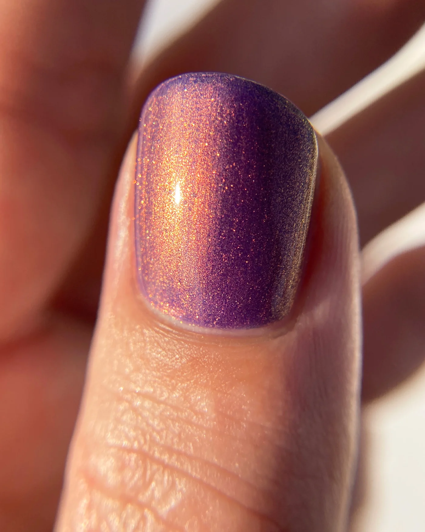 Take Me to Your Leader - Image 5