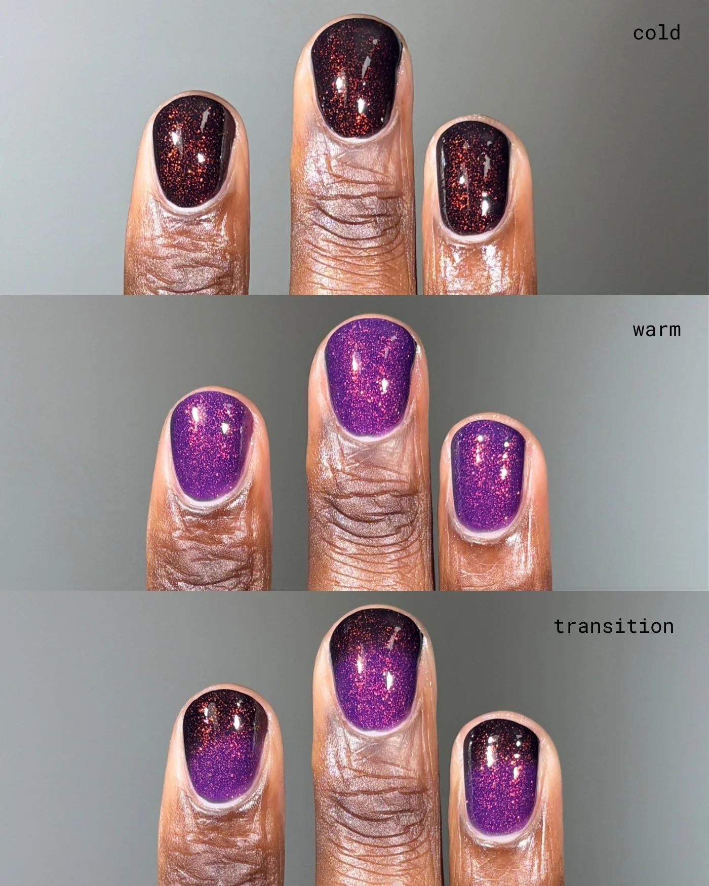 The Firebird - Image 5