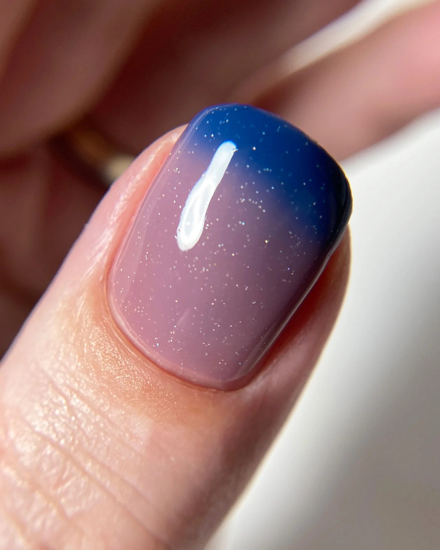 Treachery in the Blue - Image 3