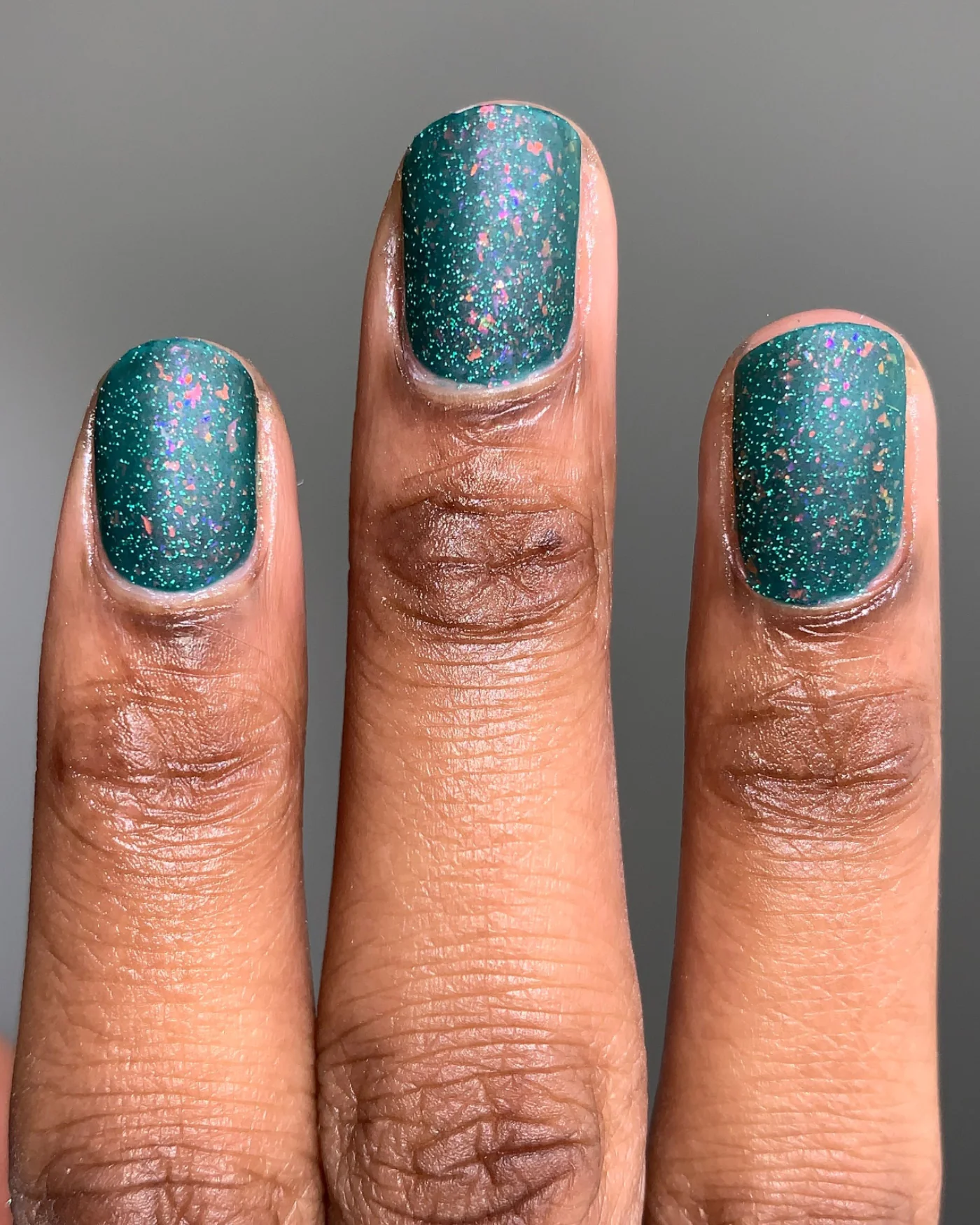 Velociraptor - Image 4