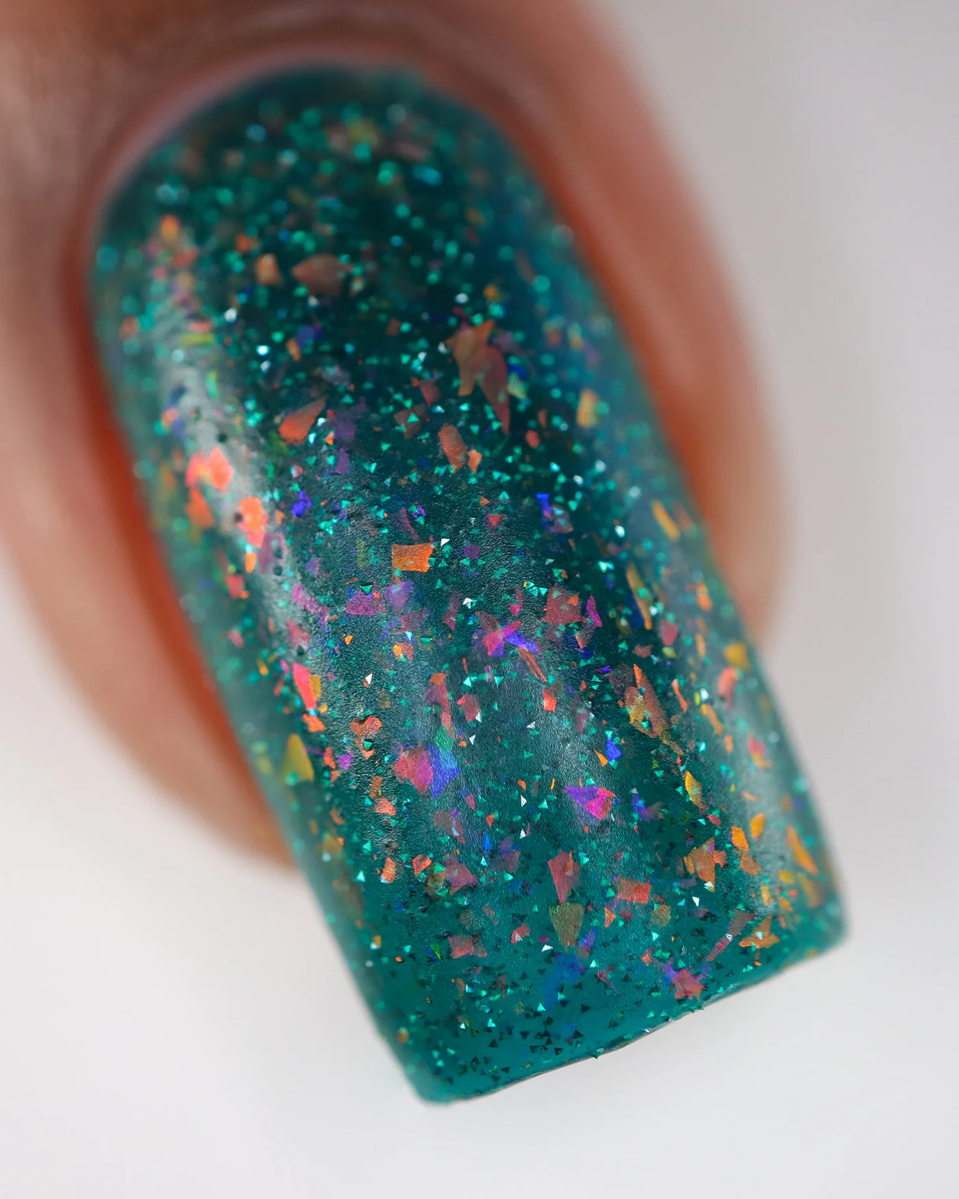 Velociraptor - Image 5