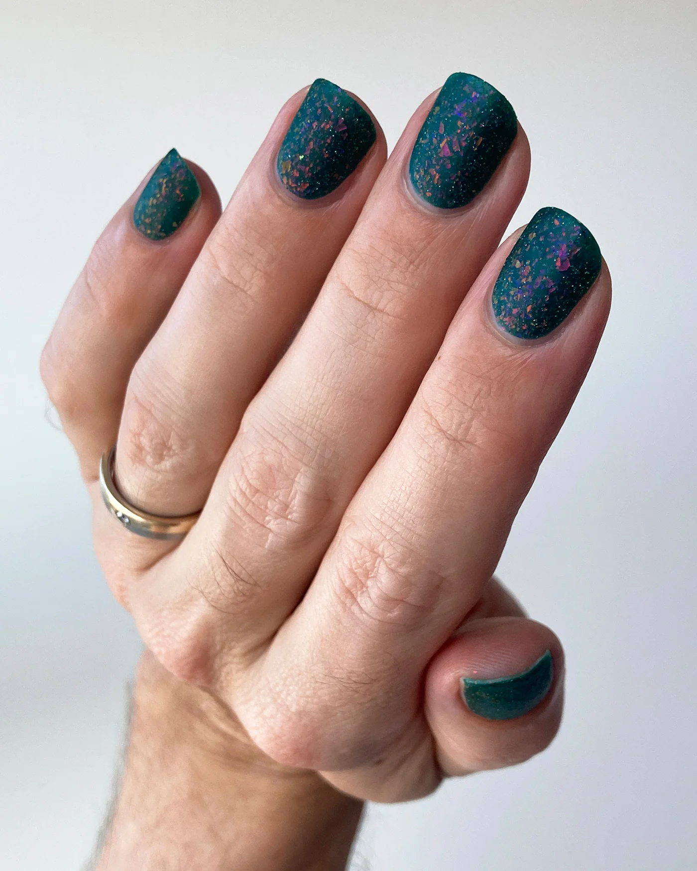 Velociraptor - Image 7