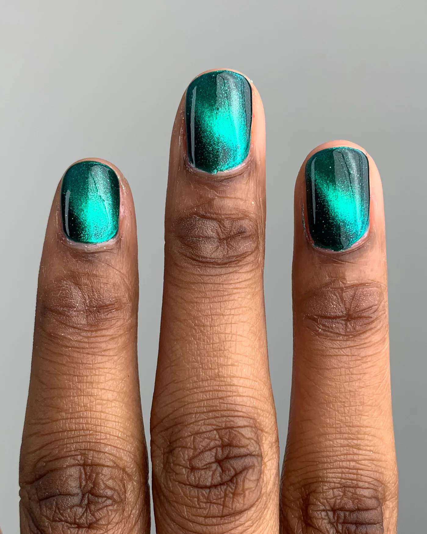 Weeping Willow - Image 3