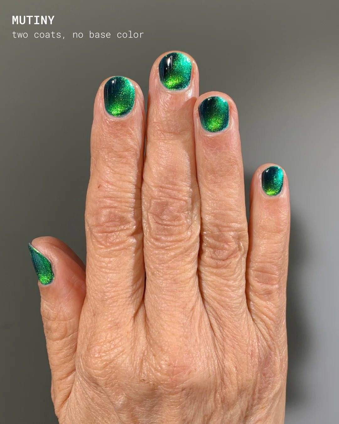 Welcome to Paradise - Image 10