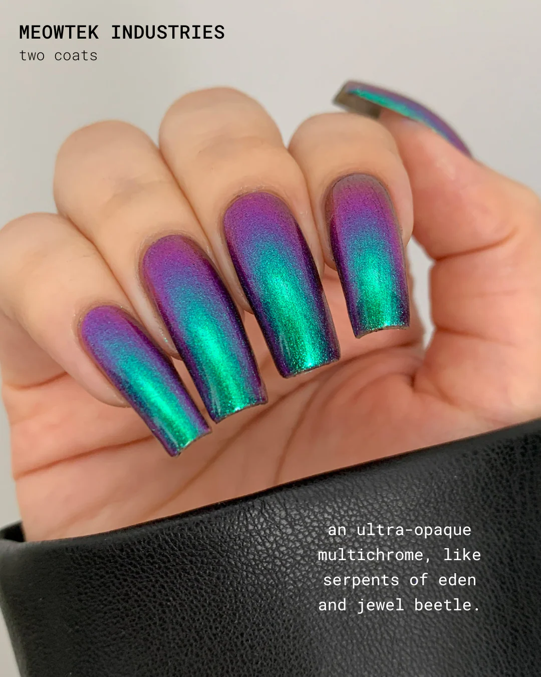 Welcome to Paradise - Image 5