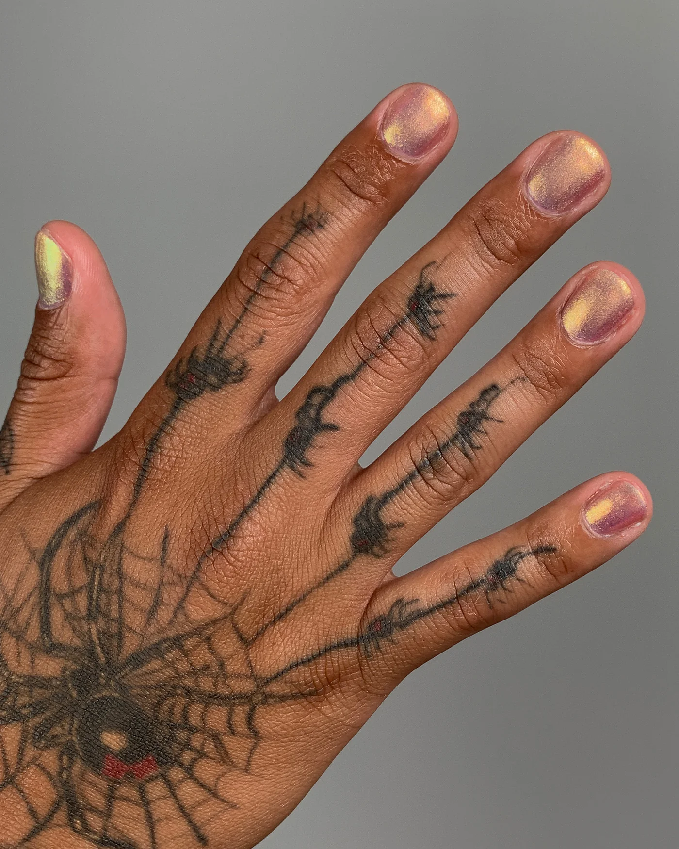 Witch Hazel - Image 4