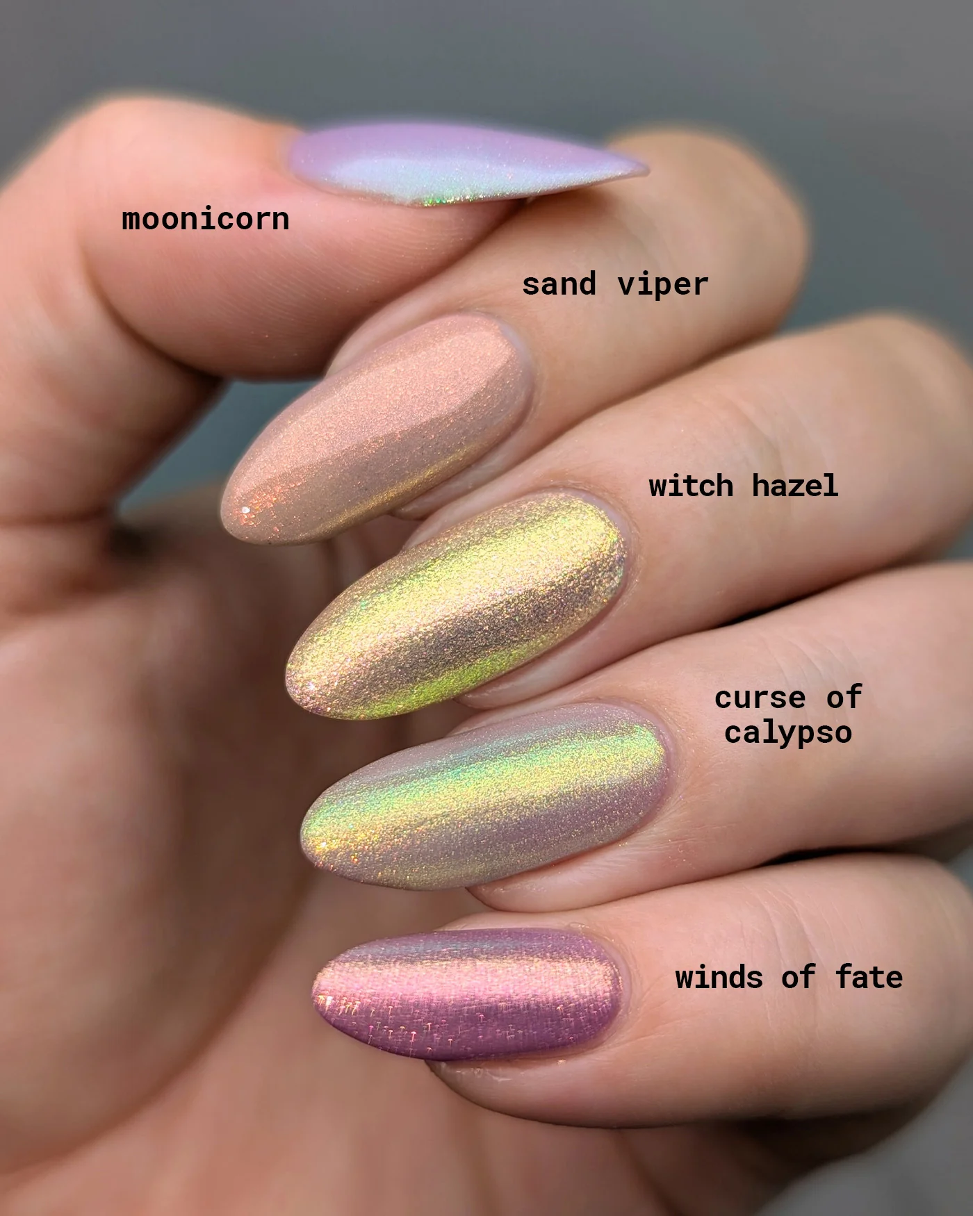 Witch Hazel - Image 8